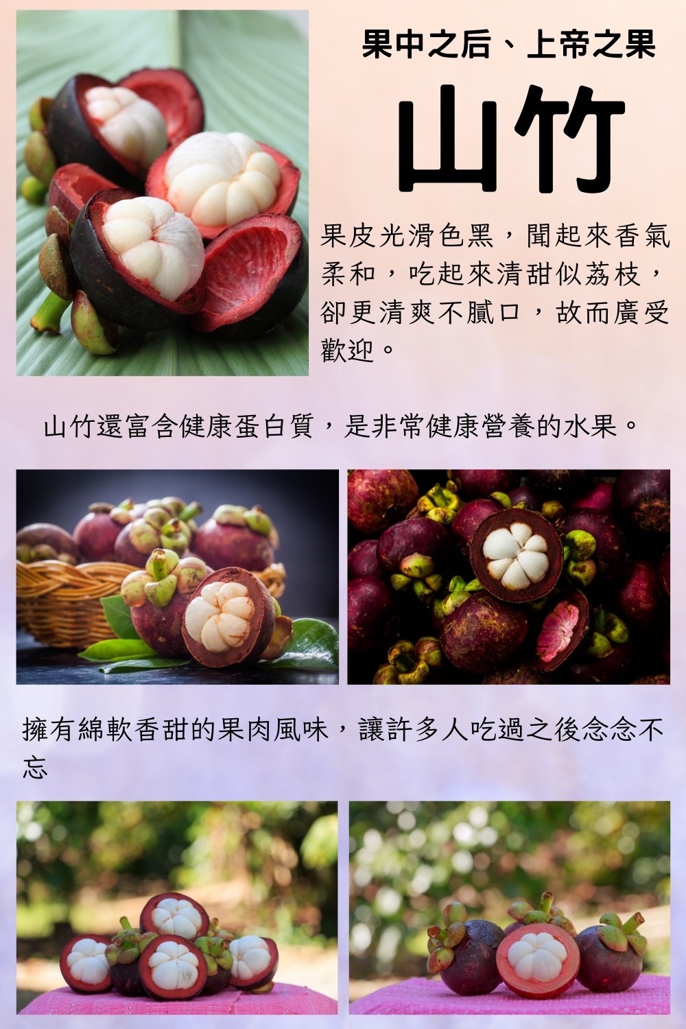【阿成水果】泰國空運水果之后鮮採山竹 (6-7粒/500g/袋)