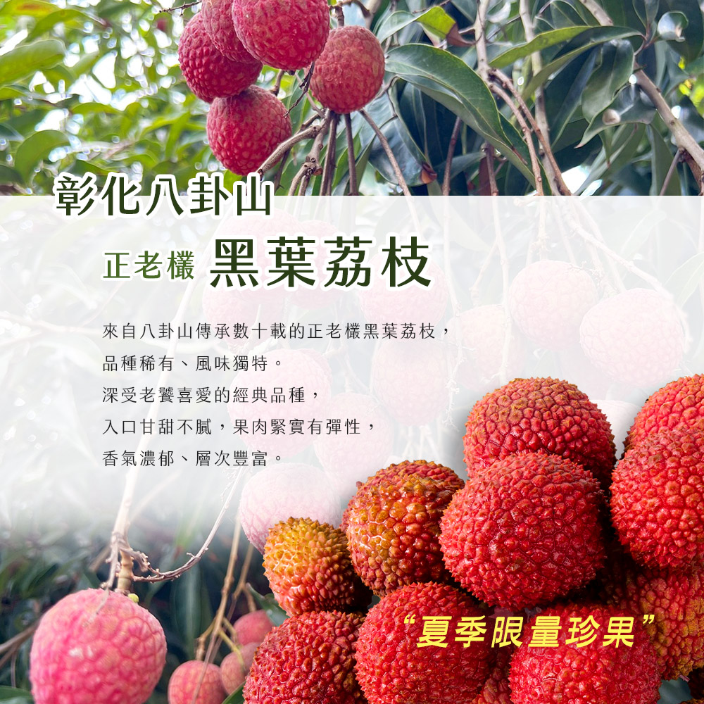 【雪莉朵辣嚴選】黑葉荔枝(5斤/箱) 箱購水果