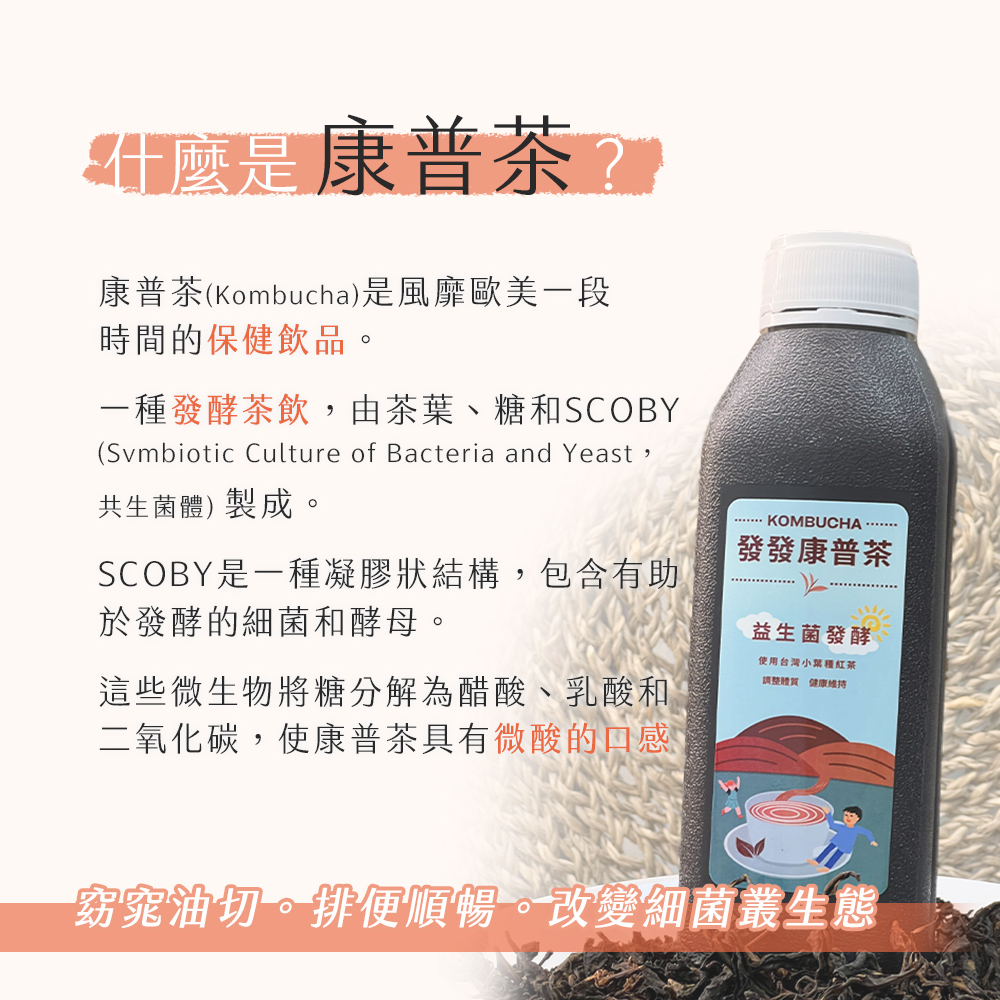 【雪莉朵辣嚴選】發發康普茶(430mlx24入/箱) 茶飲 罐裝飲品 發酵茶