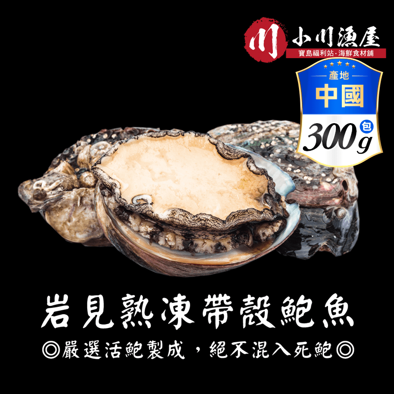 【小川漁屋】熟凍帶殼鮑魚 (300g±10%/包/8~11顆)