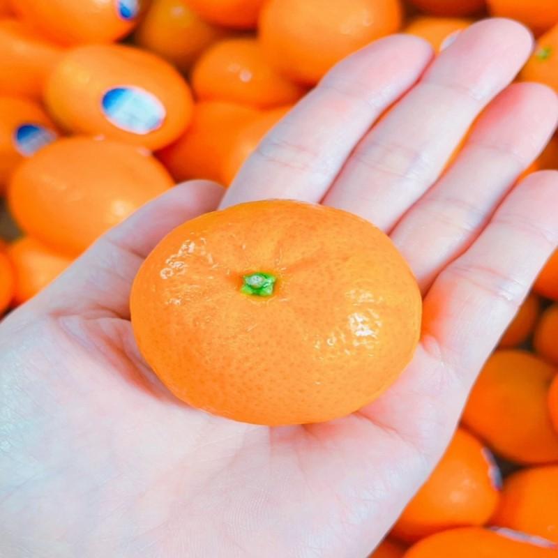 【水果達人】美國無籽砂糖橘禮盒4台斤