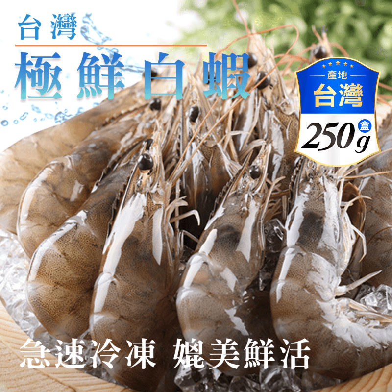 【享吃海鮮】台灣極鮮白蝦