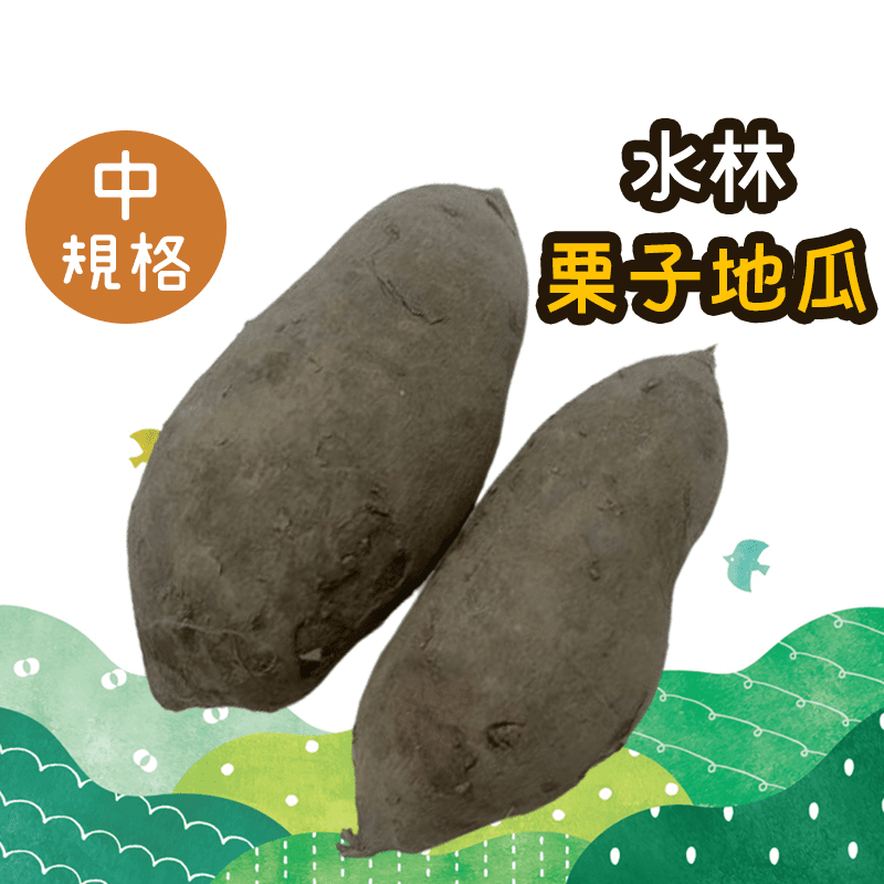 【吉屋商行】產地直送水林栗子地瓜10斤-25斤(中)
