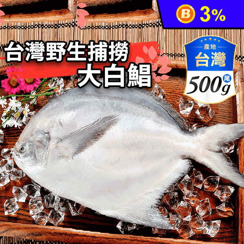 【鮮綠生活】台灣野生大白鯧(500g±10%/尾)