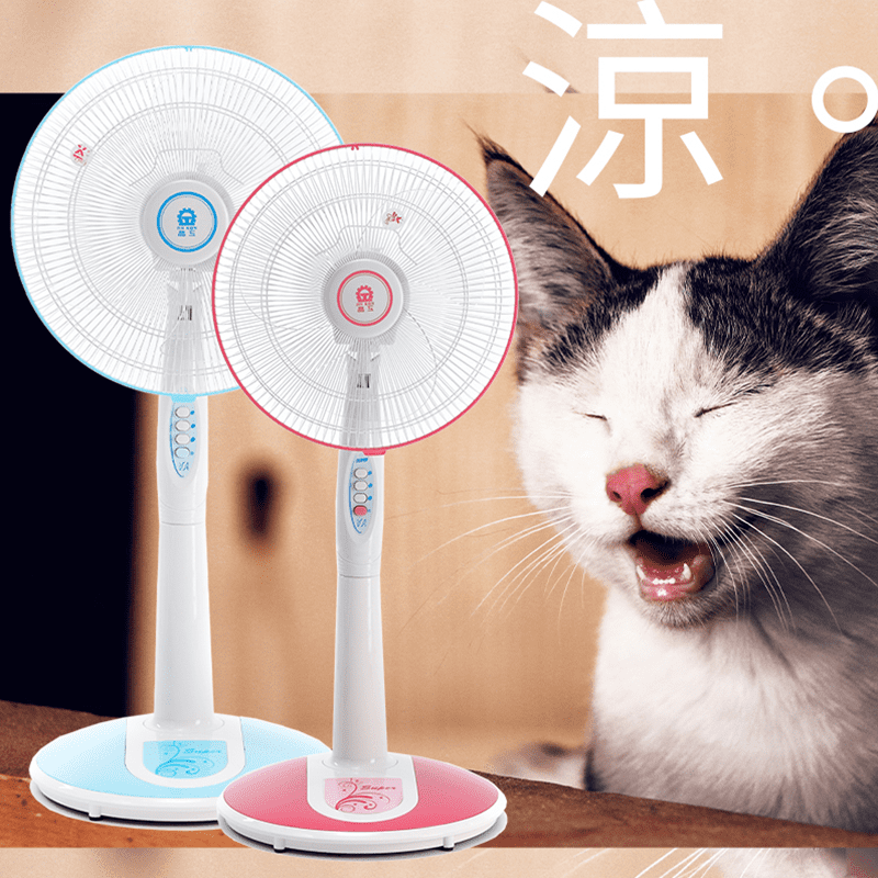 【晶工】14吋16吋經典雅緻立扇電風扇