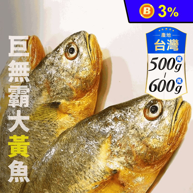 【鮮到貨】新鮮現殺大黃魚500~600g 黃花魚