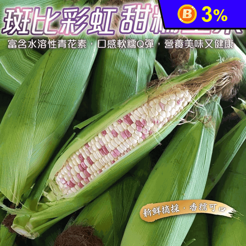 【果農直配】斑比彩虹甜糯玉米 (5斤/10斤)