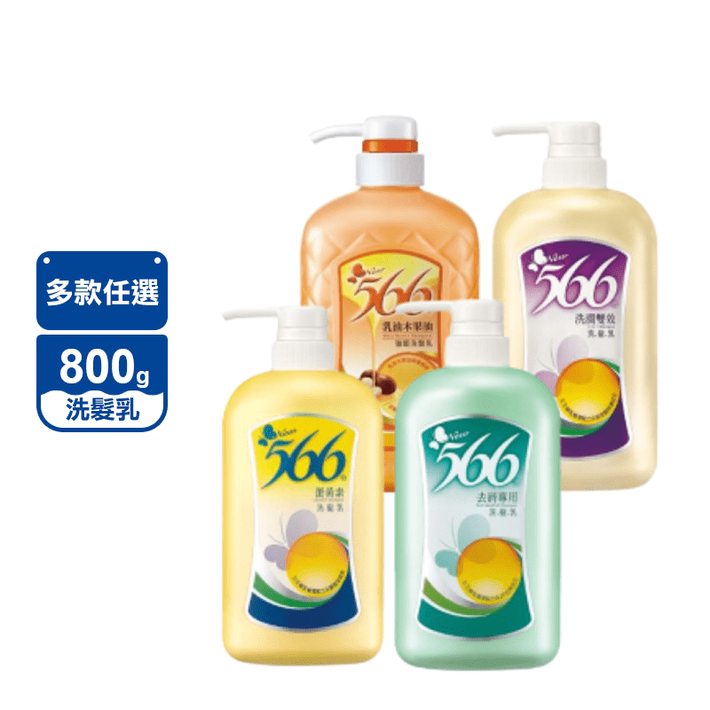 【566】經典洗髮乳800g共12入 洗潤雙效 蛋黃素 去屑 乳油木果油強韌 