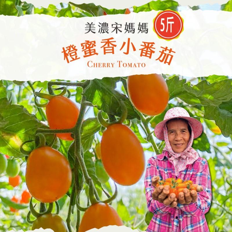 【初品果】高雄美濃宋媽媽橙蜜香小番茄5斤