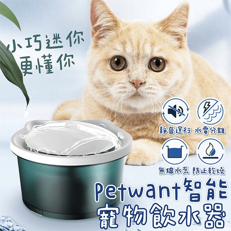 【Petwant 派旺】MINI寵物循環活水機 寵物飲水機 W3
