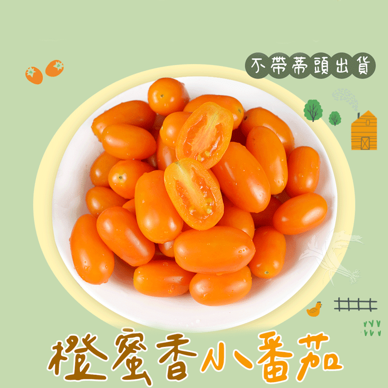【禾鴻】橙蜜香小番茄3斤/5斤 季節限定
