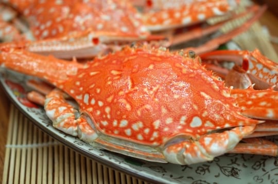 斯里蘭卡公花蟹