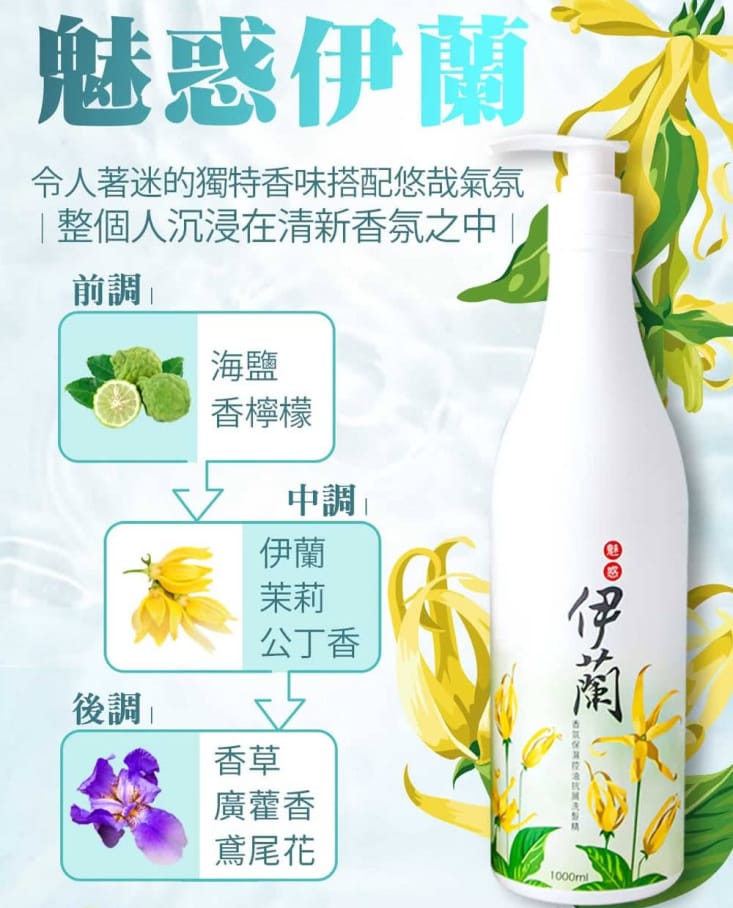 【MIAU】香氛保濕控油抗屑3效洗髮精1000ml／護髮素500ml 5款任選