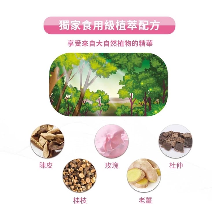 【雪莉朵辣嚴選】通通能量貼 三種任選