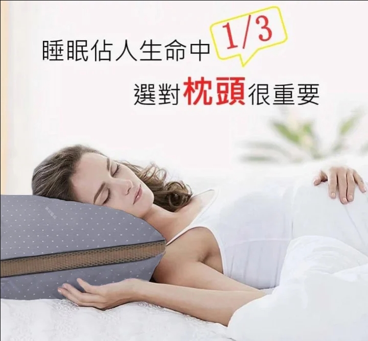 7星級飯店抗菌防蟎枕頭買1入送1入+防塵袋