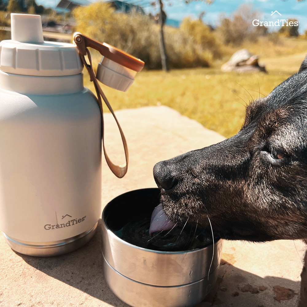 【GrandTies】1890ML雙碗寬口真空不鏽鋼寵物保溫瓶