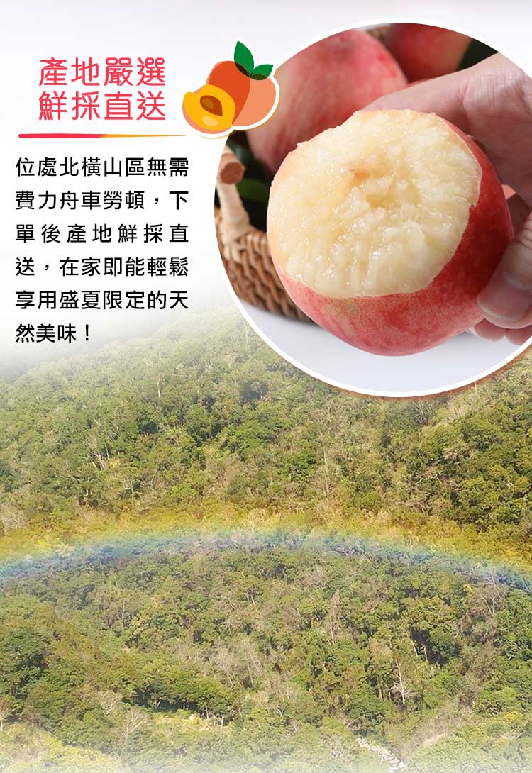 【享吃鮮果】正宗鮮採拉拉山水蜜桃1.3kg