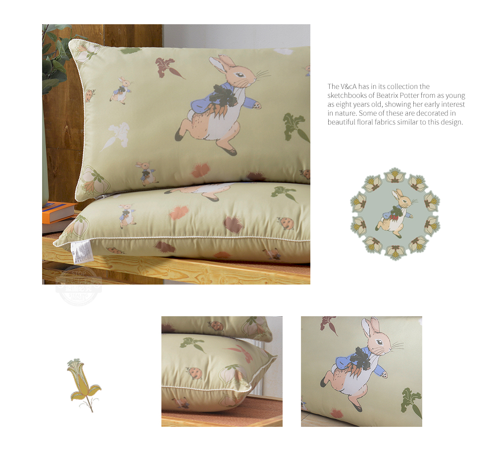 【PETER RABBIT】比得兔V&A博物館聯名抗菌枕 可水洗 台灣製造 枕頭