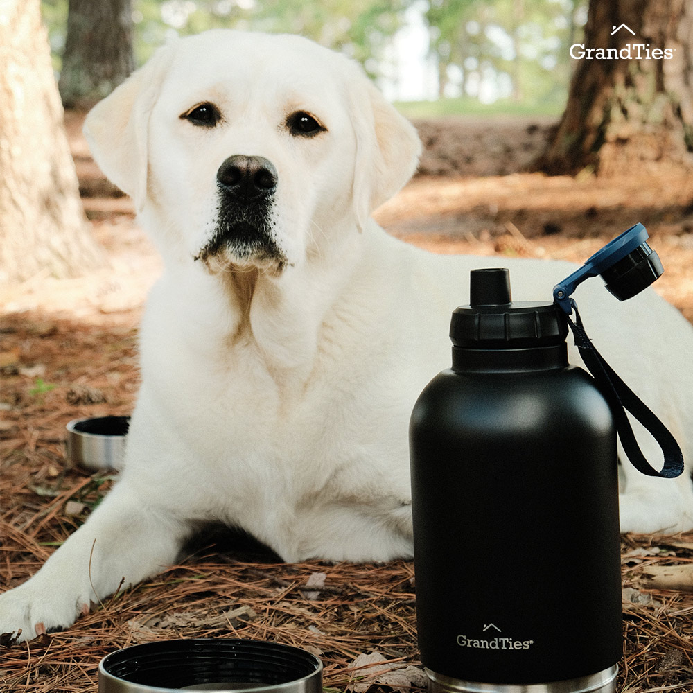 【GrandTies】1890ML雙碗寬口真空不鏽鋼寵物保溫瓶