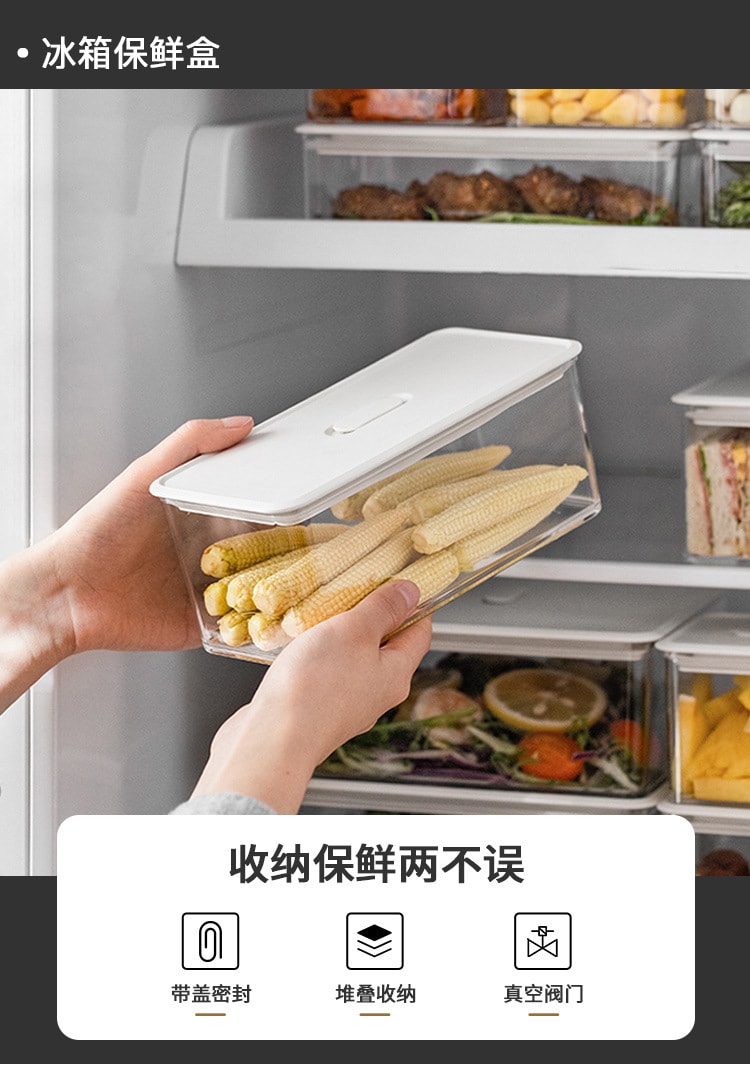 透明冰箱密封保鮮盒 食物收納盒 水果蔬菜整理盒