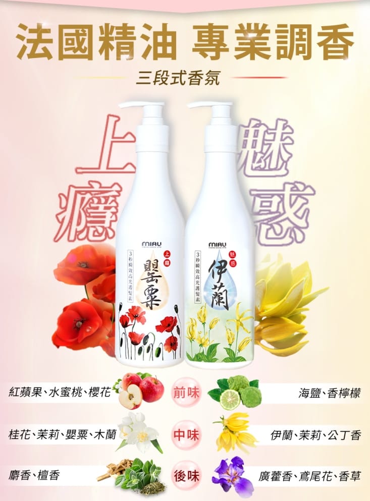 【MIAU】香氛保濕控油抗屑3效洗髮精1000ml／護髮素500ml 5款任選