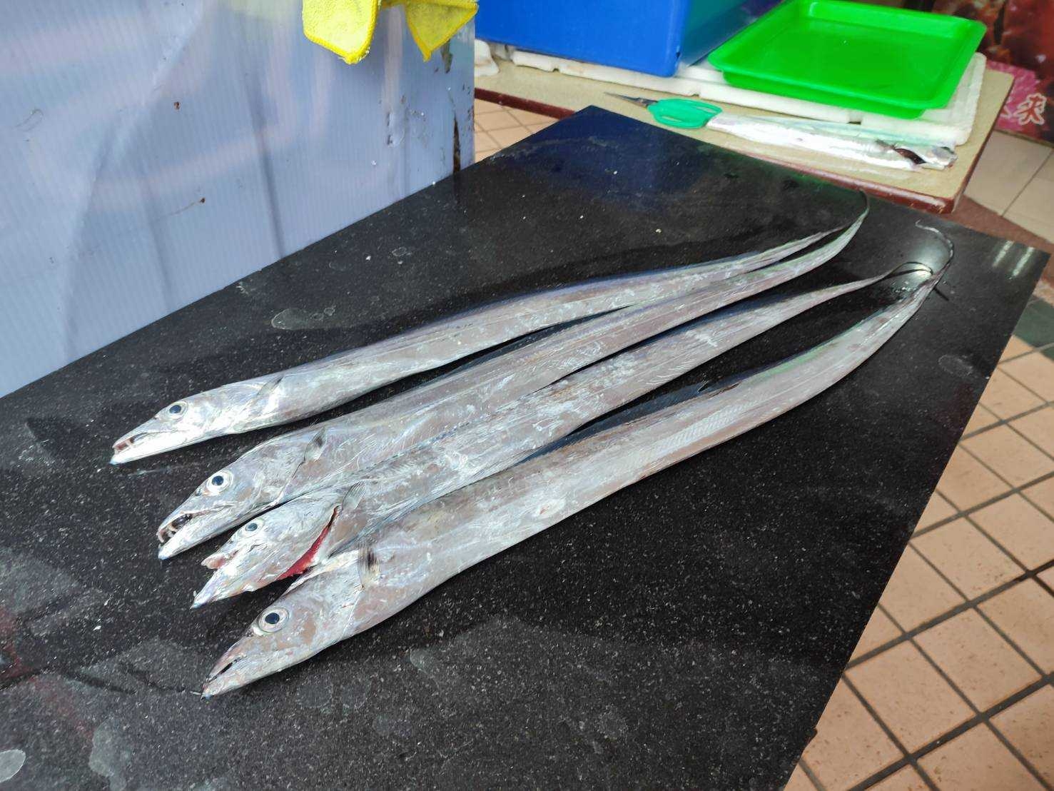 【鮮到貨】基隆港現釣大尾白帶魚600g (約1尾~1尾半)