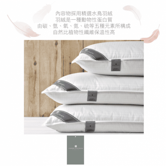 BUTTERFLY 台灣製造 PB皮爾帕門舒柔輕盈羽絨枕