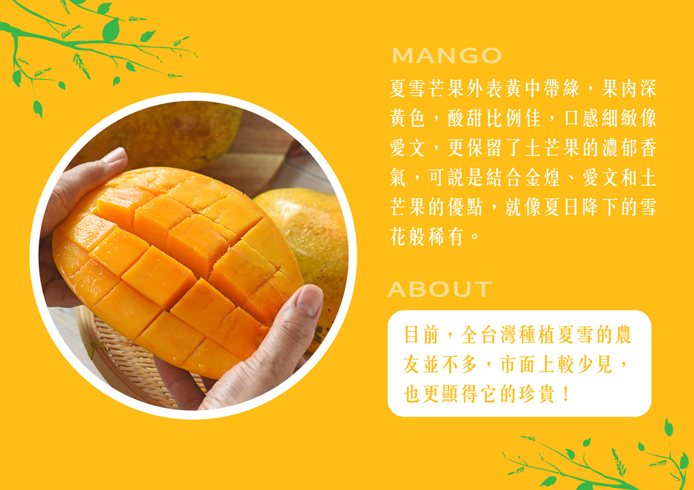 花蓮特a級夏雪芒果禮盒 5斤 盒 6入 產地直送 結合金煌 愛文 土芒果口感 生活市集