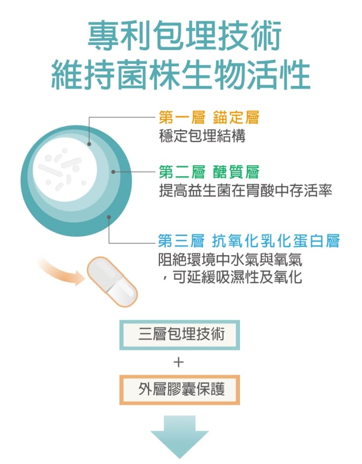 【奔益生技】益聖清機能益生菌(30顆/盒) LM益生菌 低鈉磷鉀配方 機能保健