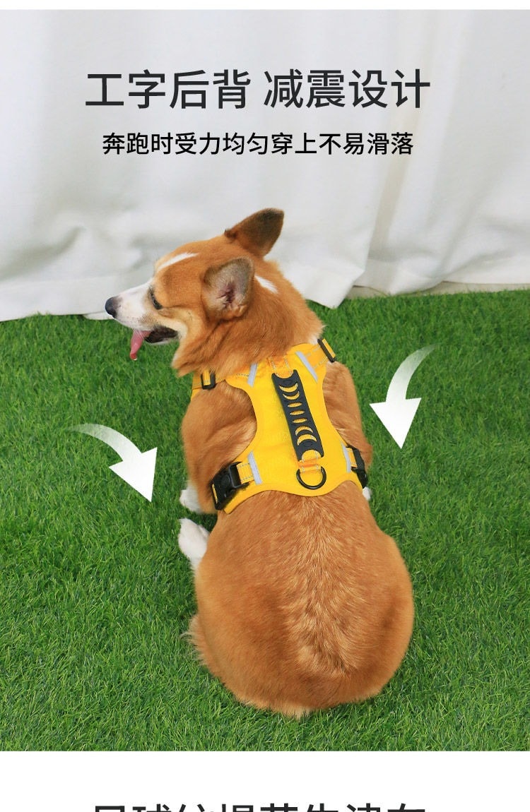 透氣網眼中型犬可調節胸背帶／牽引繩　多色任選