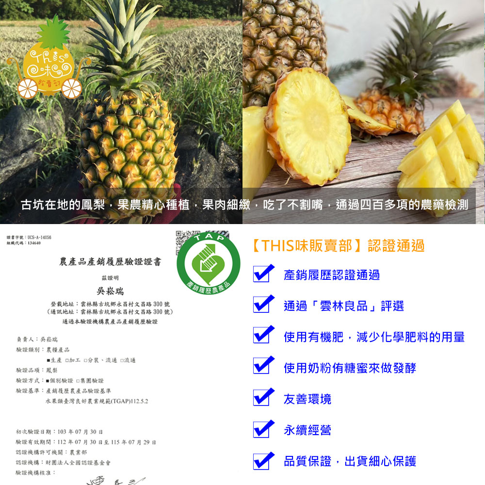 預購【THIS味販賣部】雲林 產銷履歷 台農17號金鑽鳳梨(約1.2kg/顆)