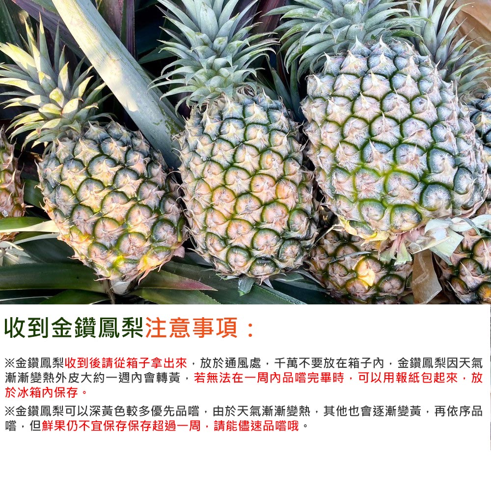 預購【THIS味販賣部】雲林 產銷履歷 台農17號金鑽鳳梨(約1.2kg/顆)