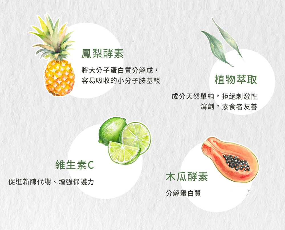 聖伯納德 Sanct Bernhard鳳梨木瓜酵素膠囊 