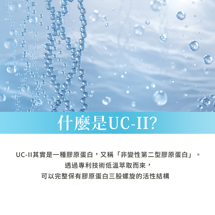 聖伯納德Sanct Bernhard 德國百年草本 UC-II 非變性第二型膠原蛋白 