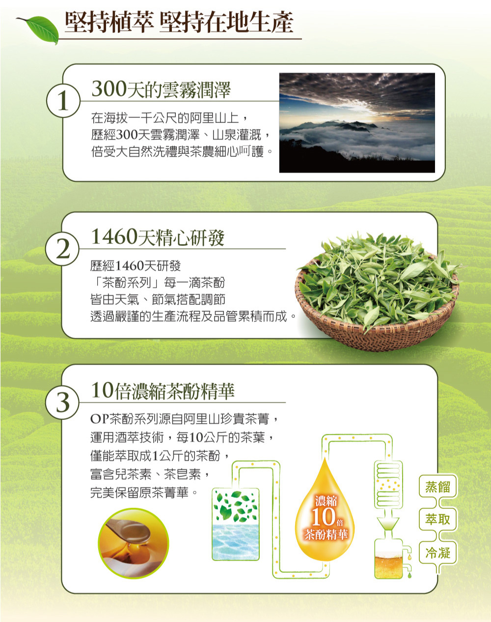 OP 天然苦茶籽 洗潔精/洗碗精1000g