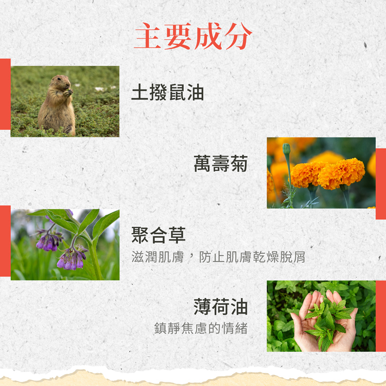 聖伯納德 Sanct Bernhard 德國百年草本 經絡護理草本膏 
