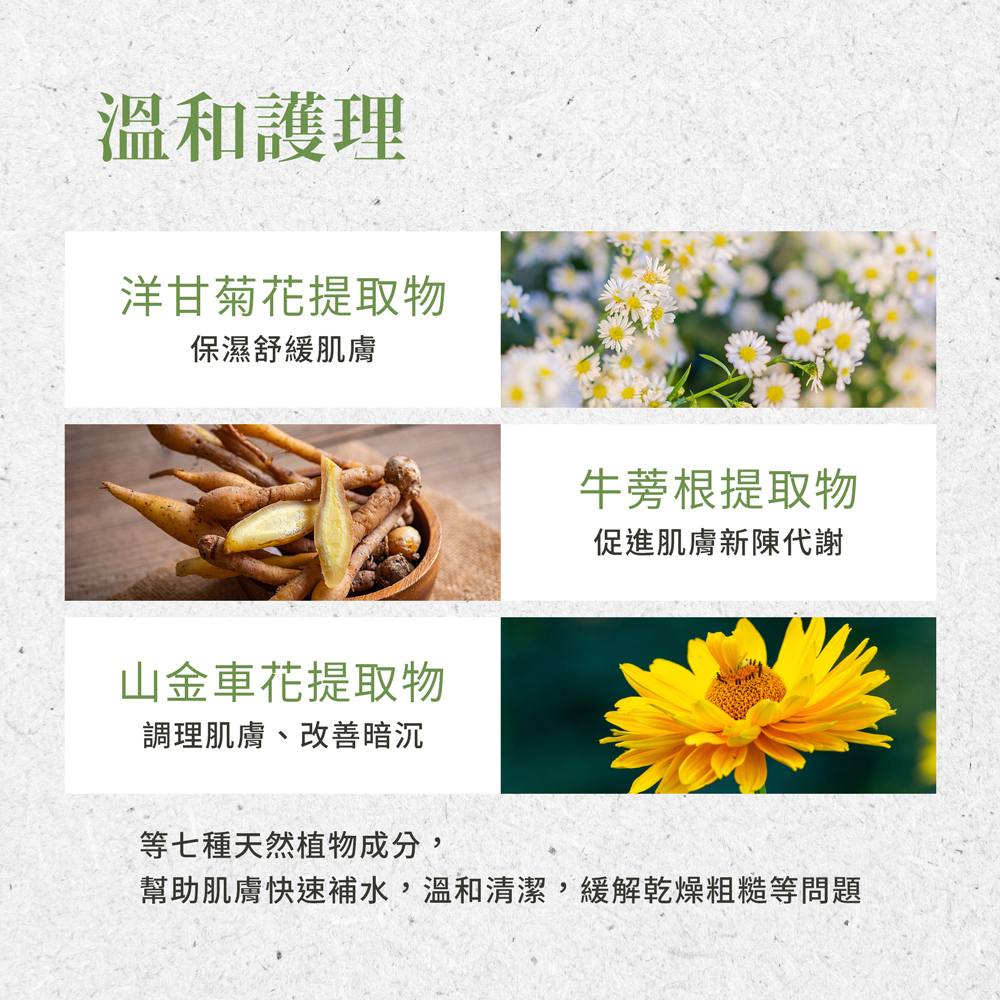 聖伯納德Sanct Bernhard  德國百年草本 七種草藥撕拉面膜