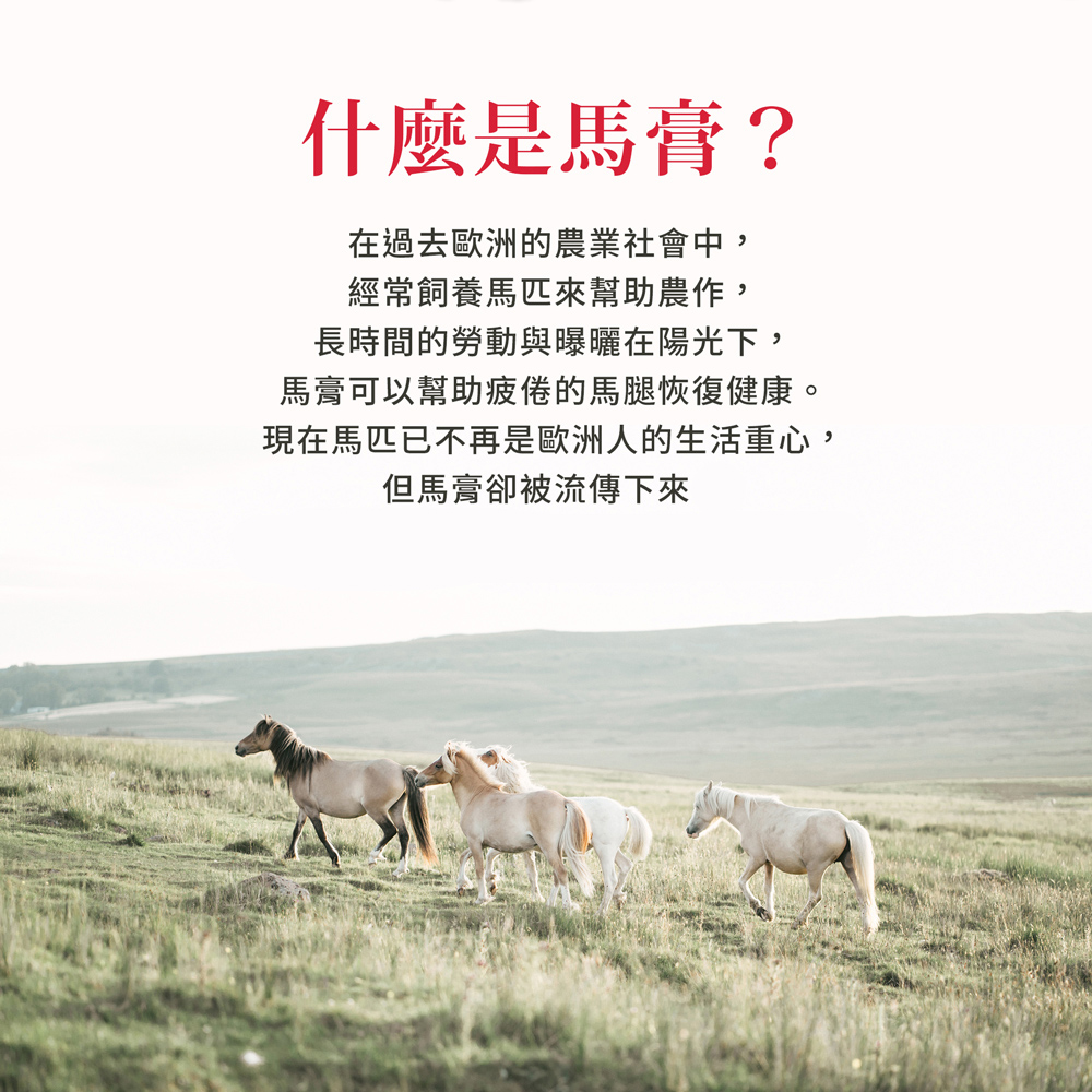 聖伯納德 Sanct Bernhard 德國百年草本 按摩馬膏 