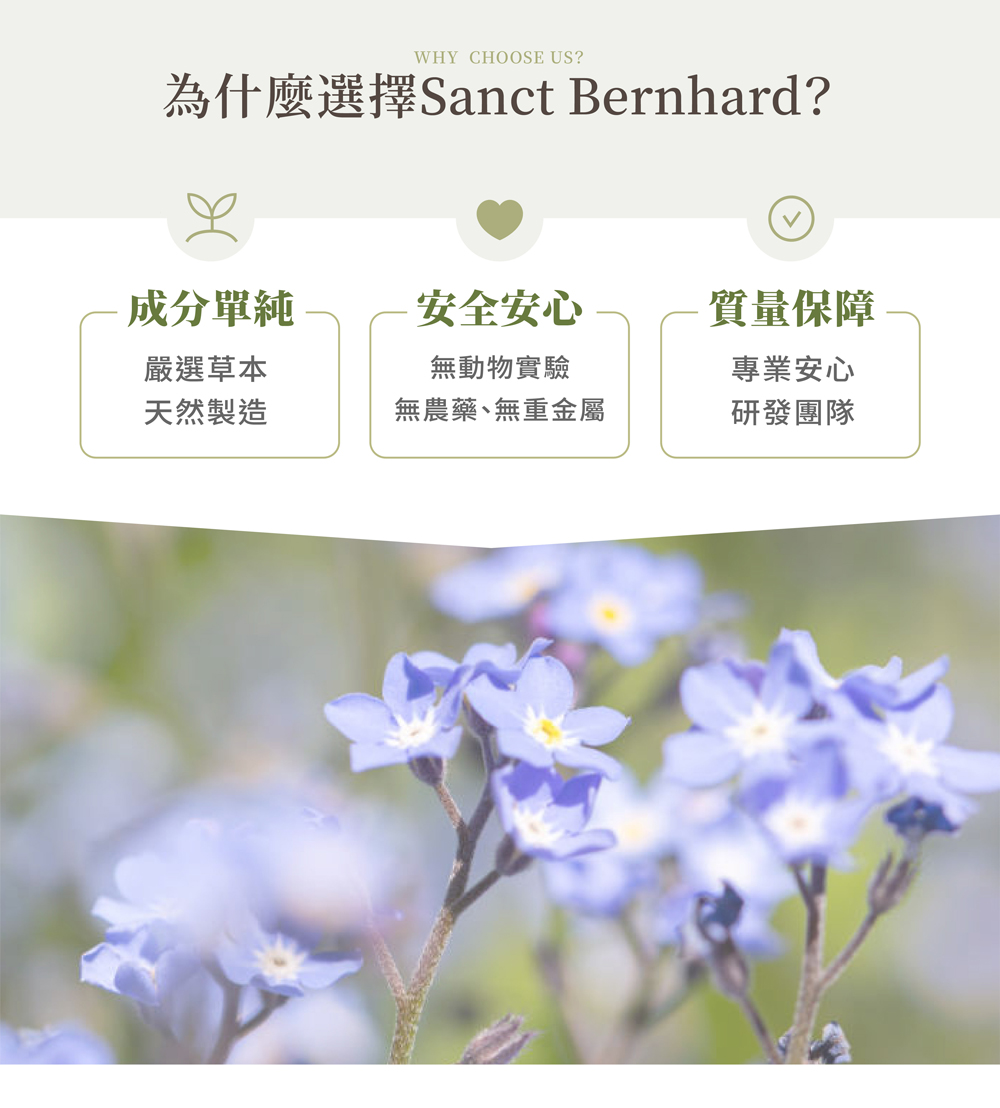聖伯納德 Sanct Bernhard 德國百年草本 七葉樹藤葉軟膏