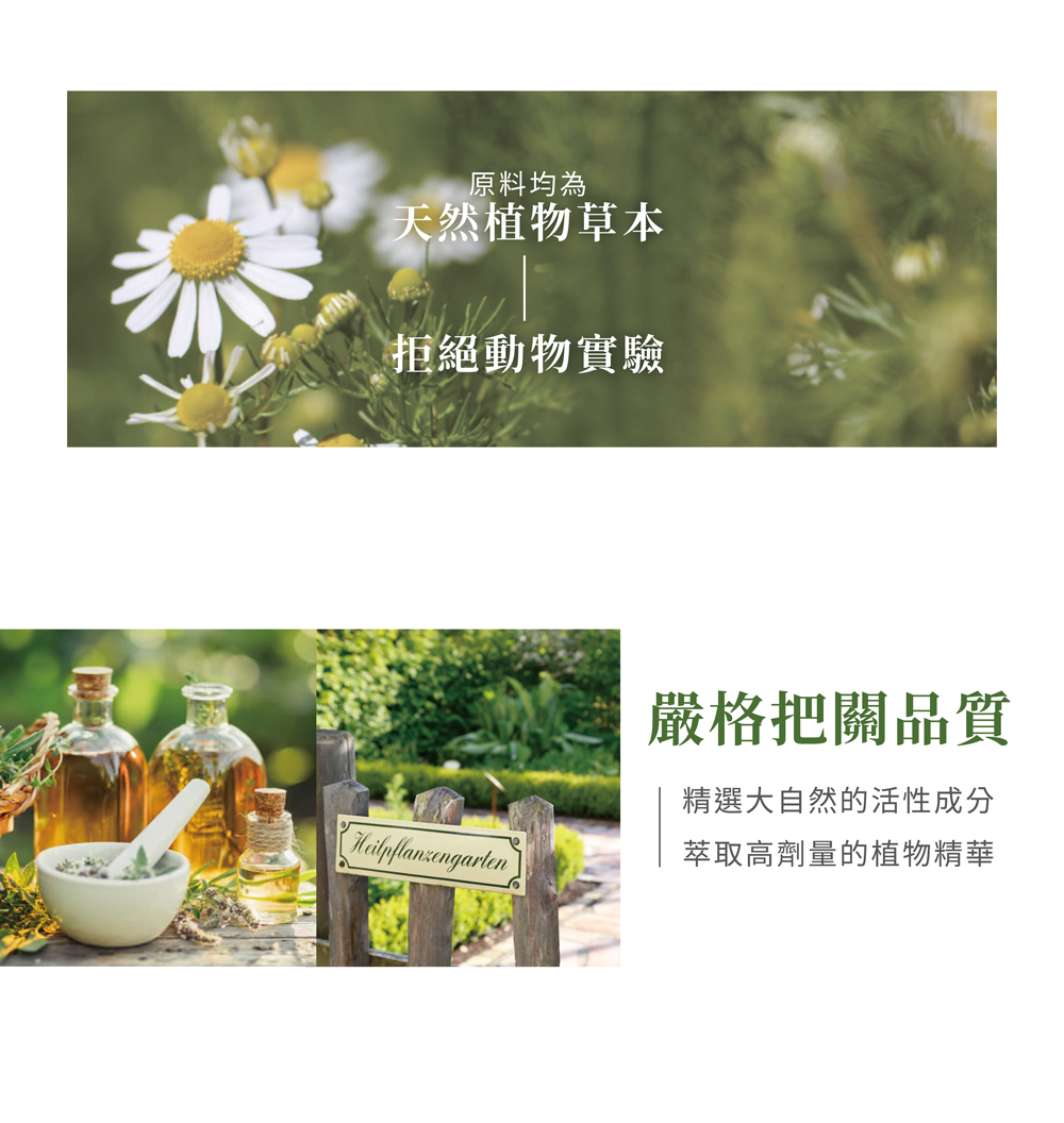 聖伯納德 Sanct Bernhard 德國百年草本 七葉樹藤葉軟膏