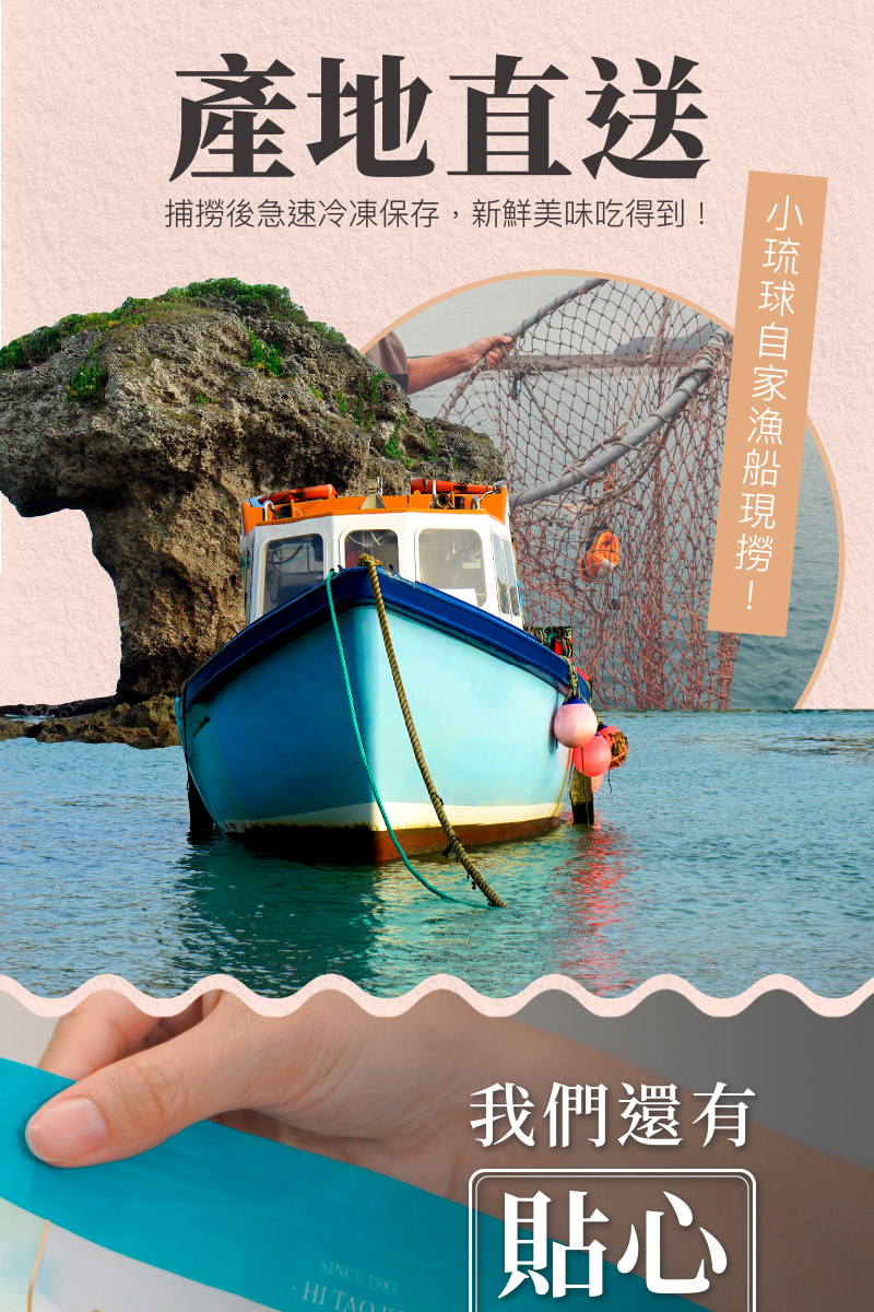 【海濤客】經典海味零嘴 十款任選