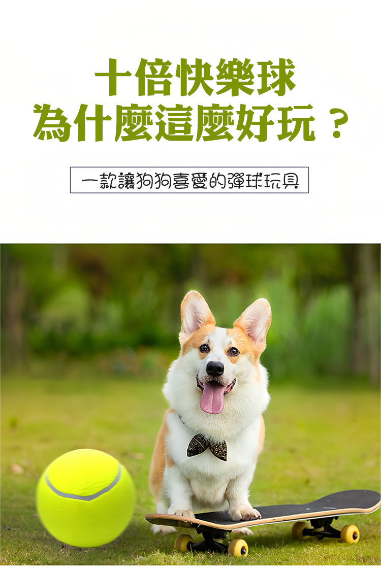 9.5寸充氣大網球寵物玩具球