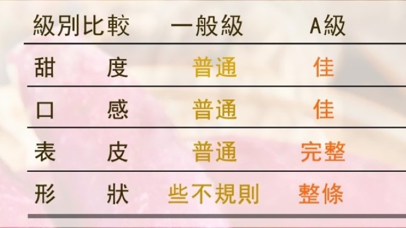 A級紅皮栗子地瓜700g 栗香地瓜 冰烤地瓜 熟地瓜 解凍即食