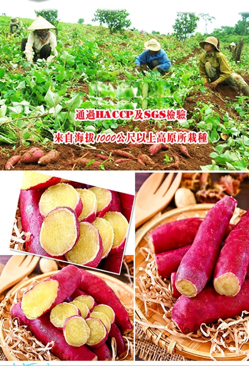 A級原裝紅皮栗子地瓜1000g 栗香地瓜 冰烤地瓜 熟地瓜 解凍即食