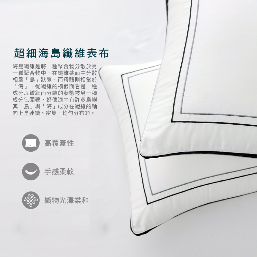 【BEST】六星級飯店棉枕系列 雲柔雙層枕 扭花雲朵枕 羽之超柔棉枕 水鑽超柔立體羽絲枕 抗菌枕 柔軟枕 多款任選 贈3M防潑水大和枕套(灰)