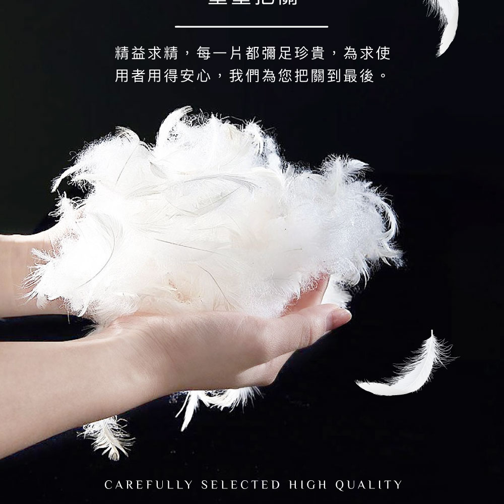 【BEST】六星級飯店棉枕系列 雲柔雙層枕 扭花雲朵枕 羽之超柔棉枕 水鑽超柔立體羽絲枕 抗菌枕 柔軟枕 多款任選 贈3M防潑水大和枕套(灰)