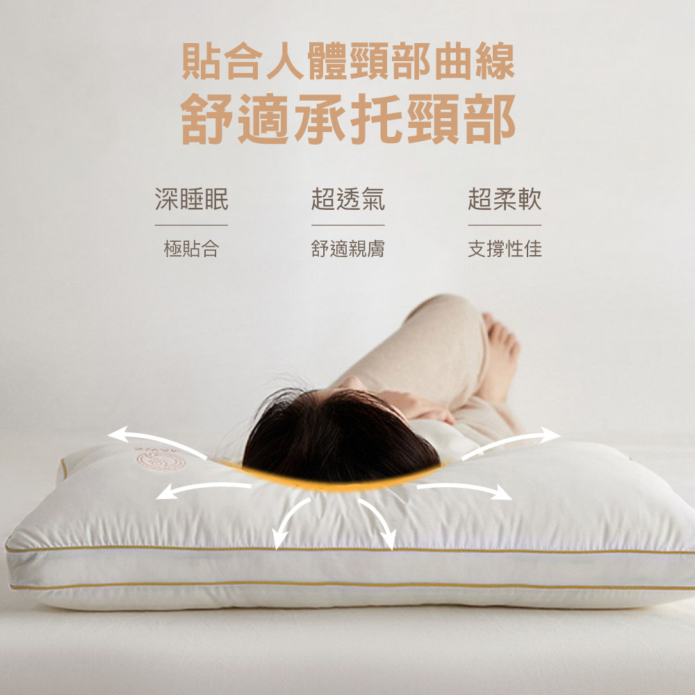 【BEST】六星級飯店棉枕系列 雲柔雙層枕 扭花雲朵枕 羽之超柔棉枕 水鑽超柔立體羽絲枕 抗菌枕 柔軟枕 多款任選 贈3M防潑水大和枕套(灰)