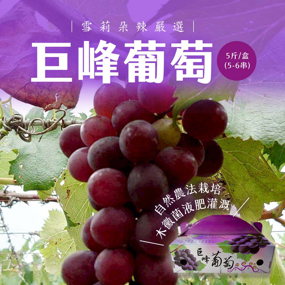 【雪莉朵辣嚴選】巨峰葡萄  5斤一盒