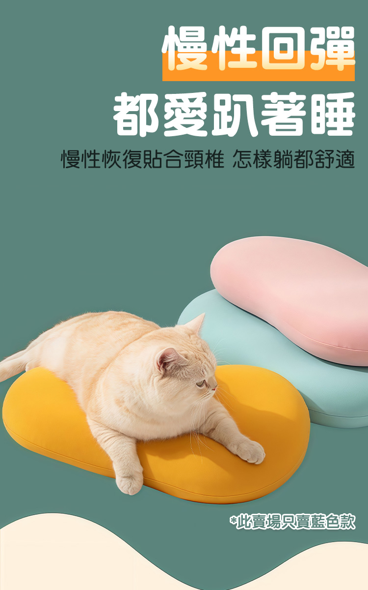 貓肚肚觸感記憶棉護頸枕