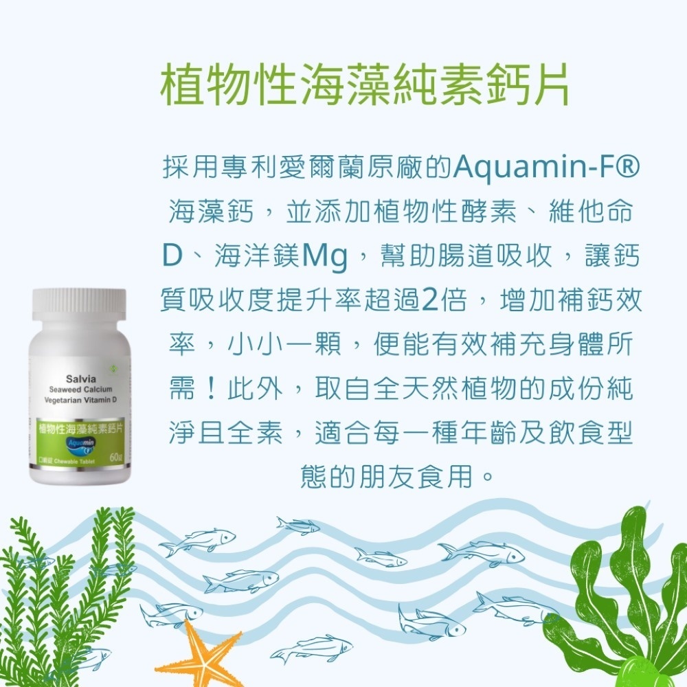 【Salvia】植物性海藻純素鈣片(口嚼錠)專利型海藻鈣